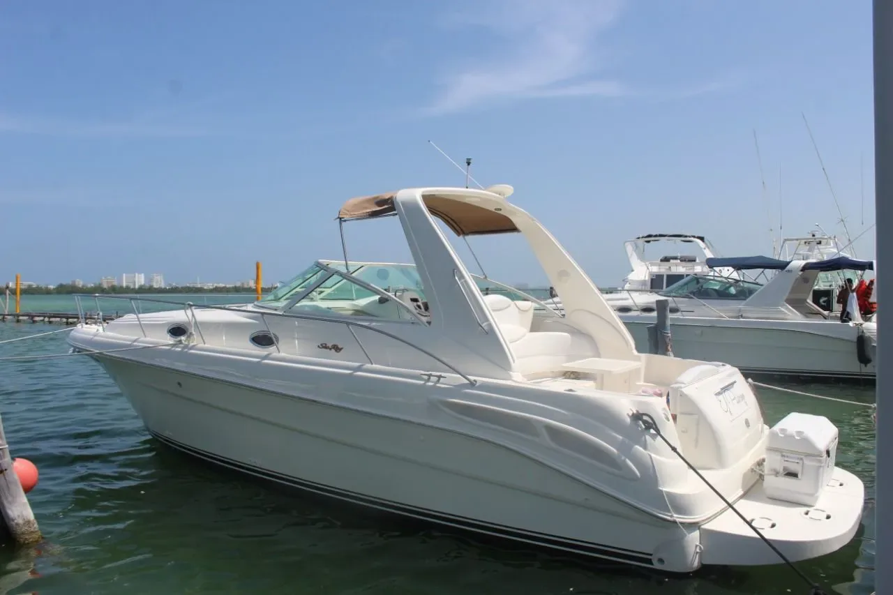 Sea Ray 35 — photo 4