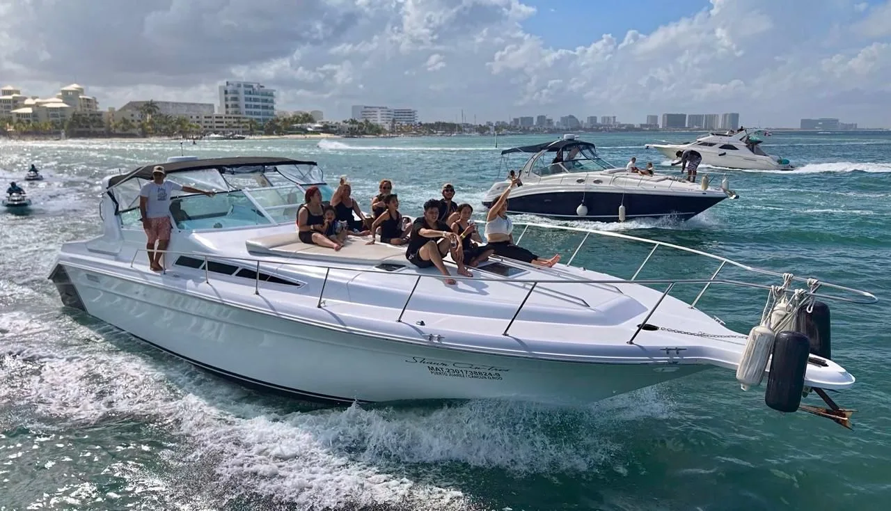 Sea Ray 46 — photo 6