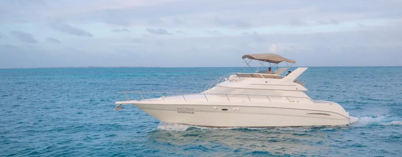 Sea Ray 46 Flybridge — photo 8