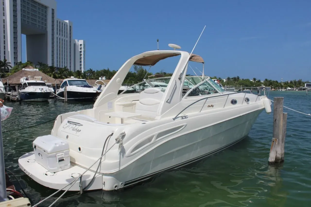Sea Ray 35 — photo 2