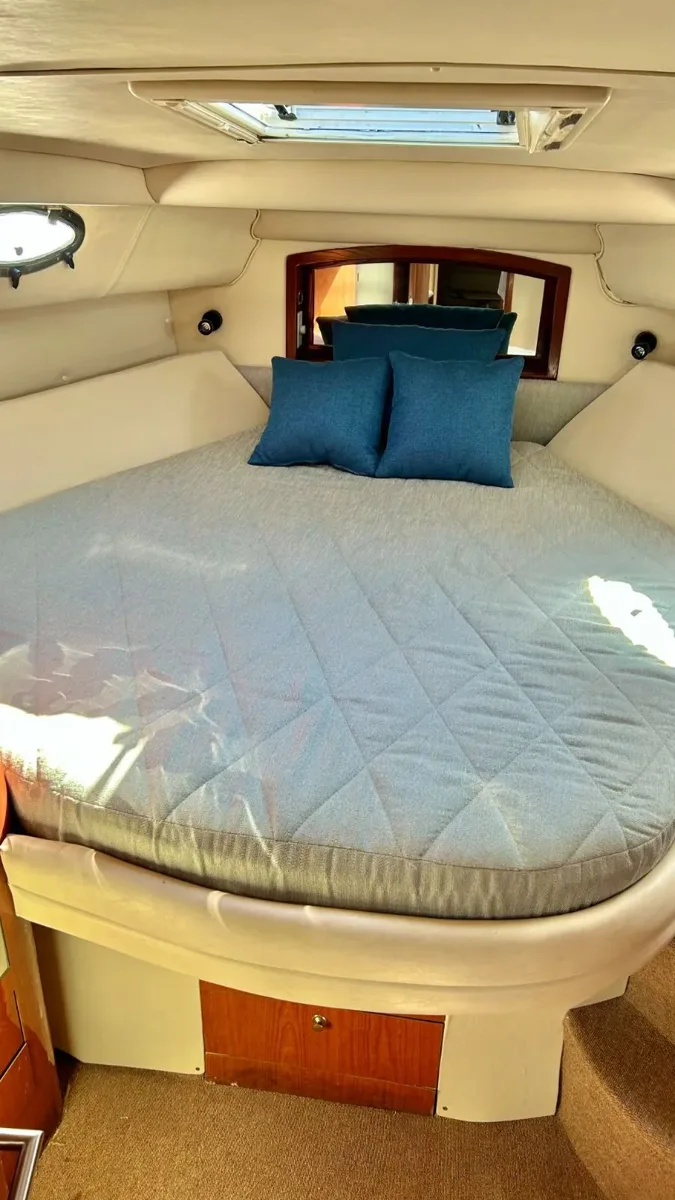 Sea Ray 46 — photo 9