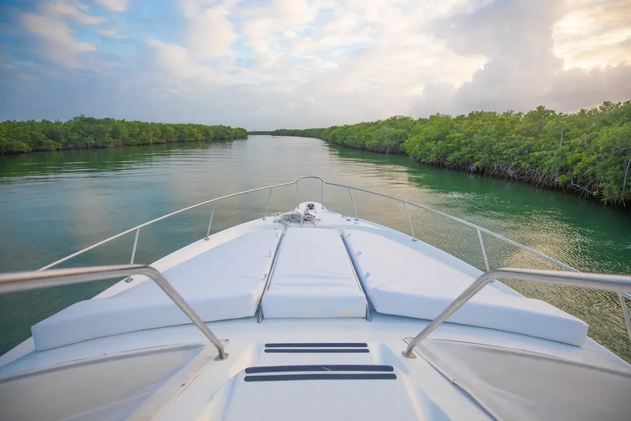 Sea Ray 46 Flybridge — photo 10
