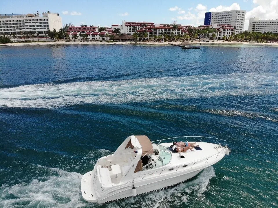 Sea Ray 35 — photo 5