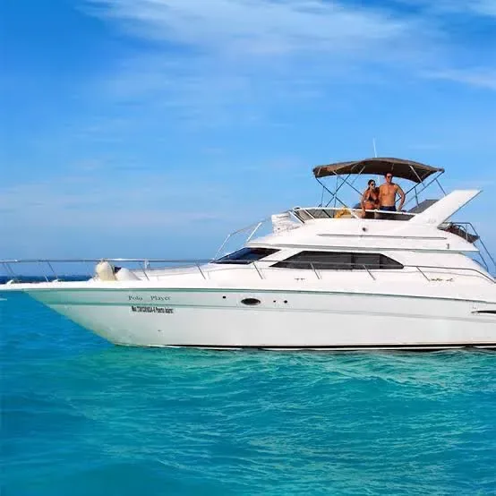 Sea Ray 46 Flybridge — photo 2