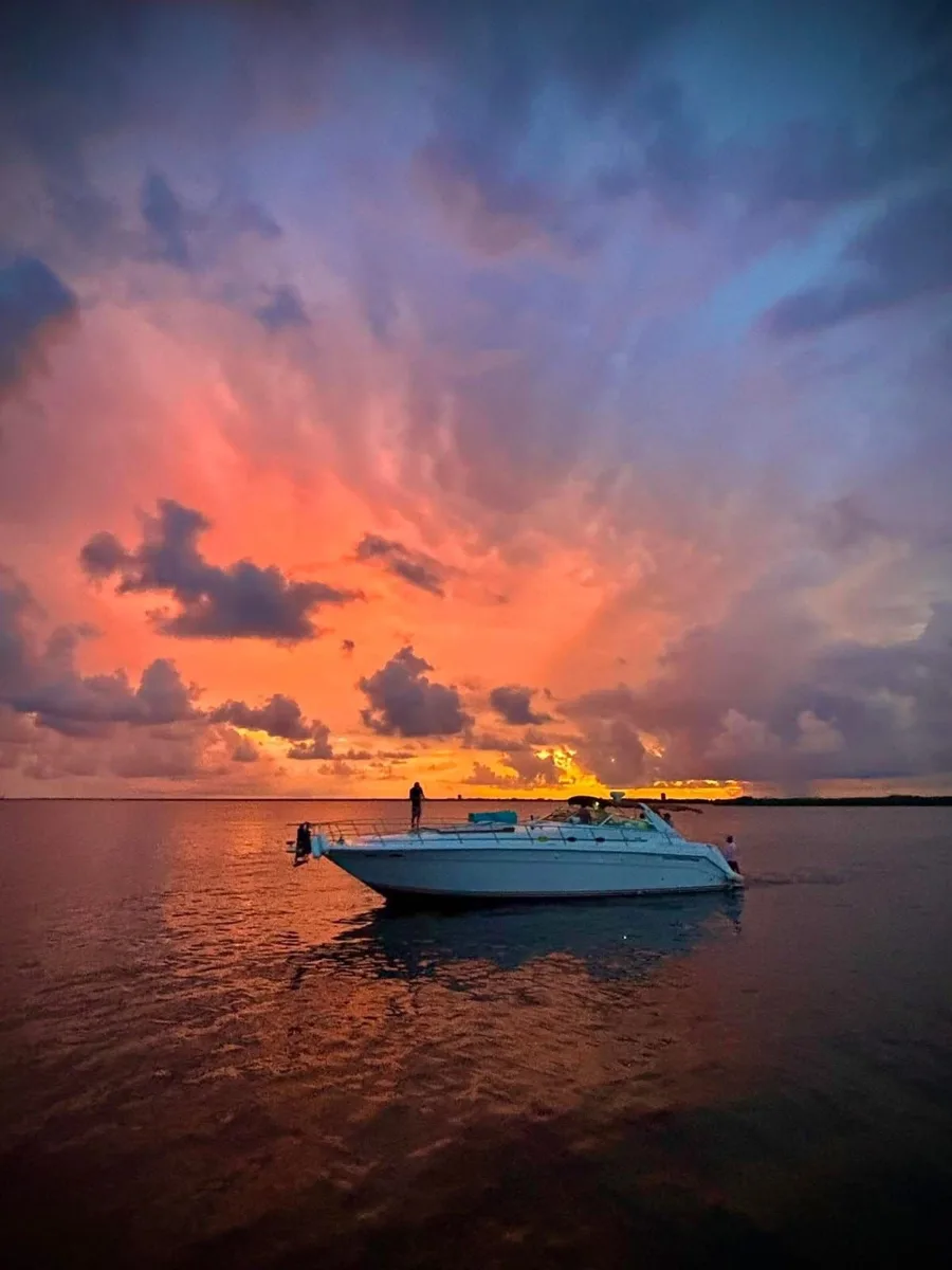 Sea Ray 50 — photo 2