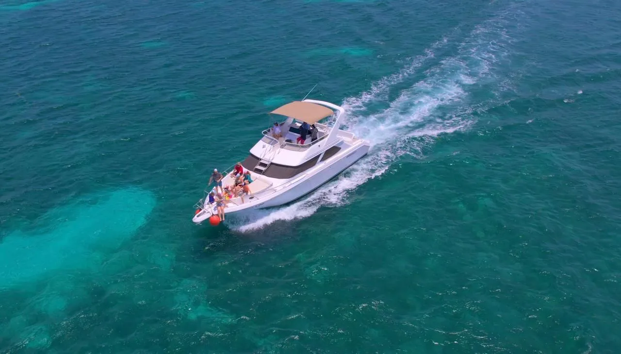 Sea Ray 46 Flybridge — photo 2