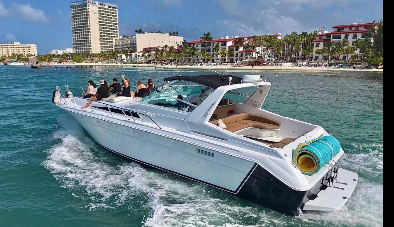Sea Ray 46 — photo 9