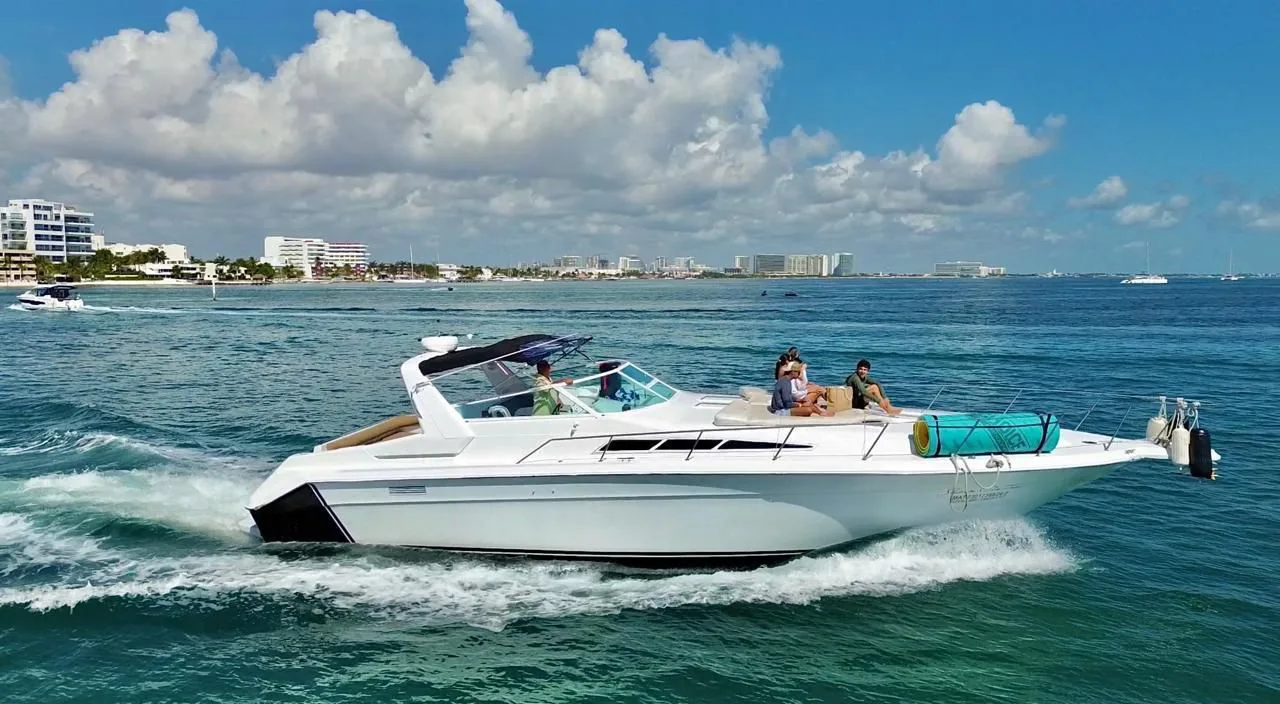 Sea Ray 46 — photo 4