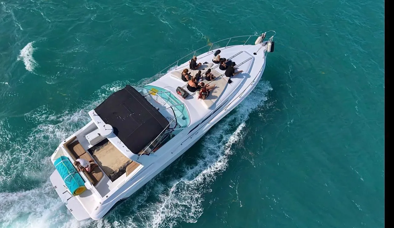 Sea Ray 46 — photo 3