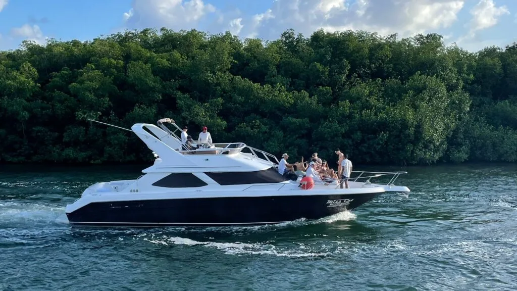 Yacht beside the mangroves