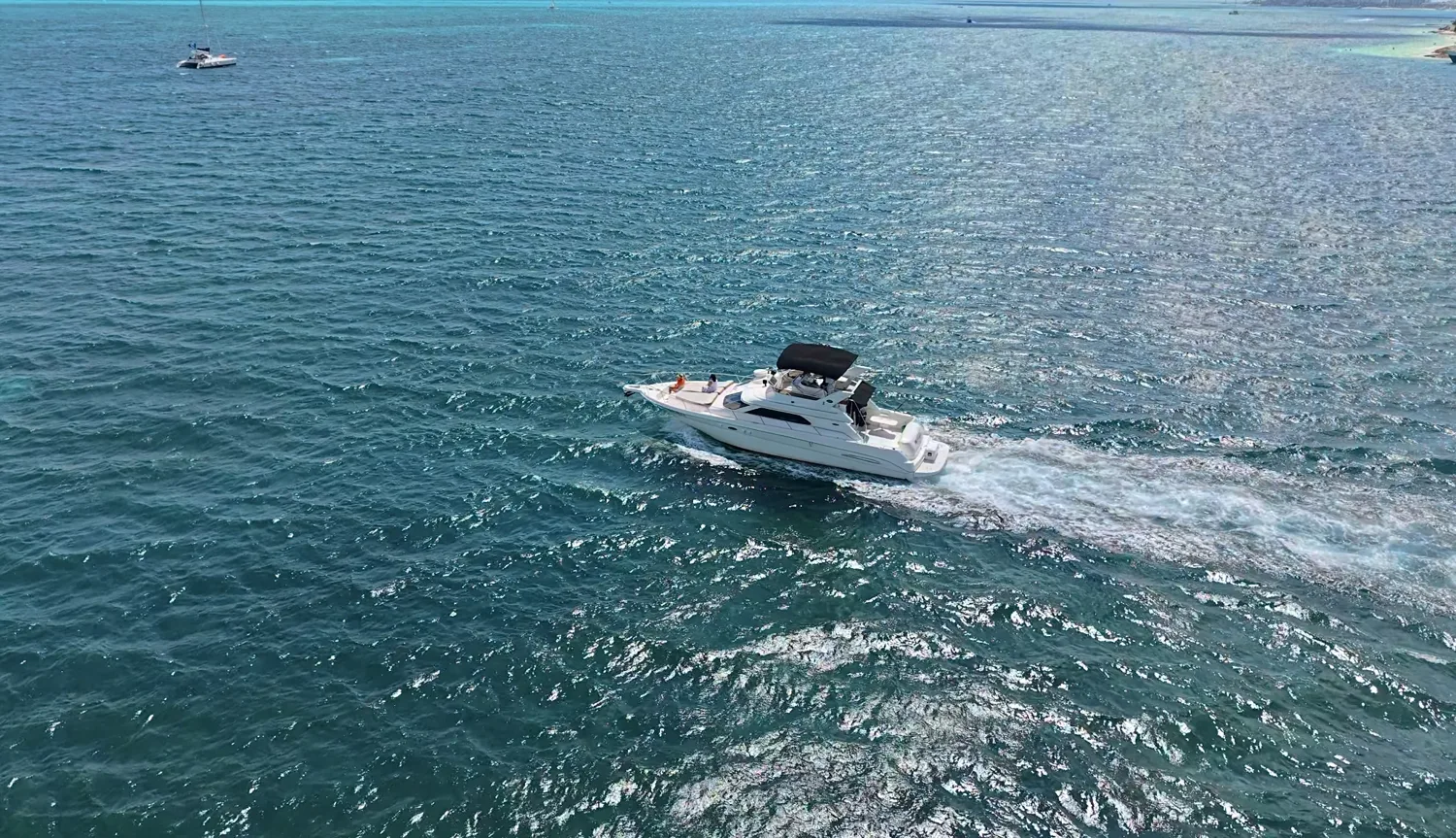 Sea Ray 46 Flybridge — photo 4