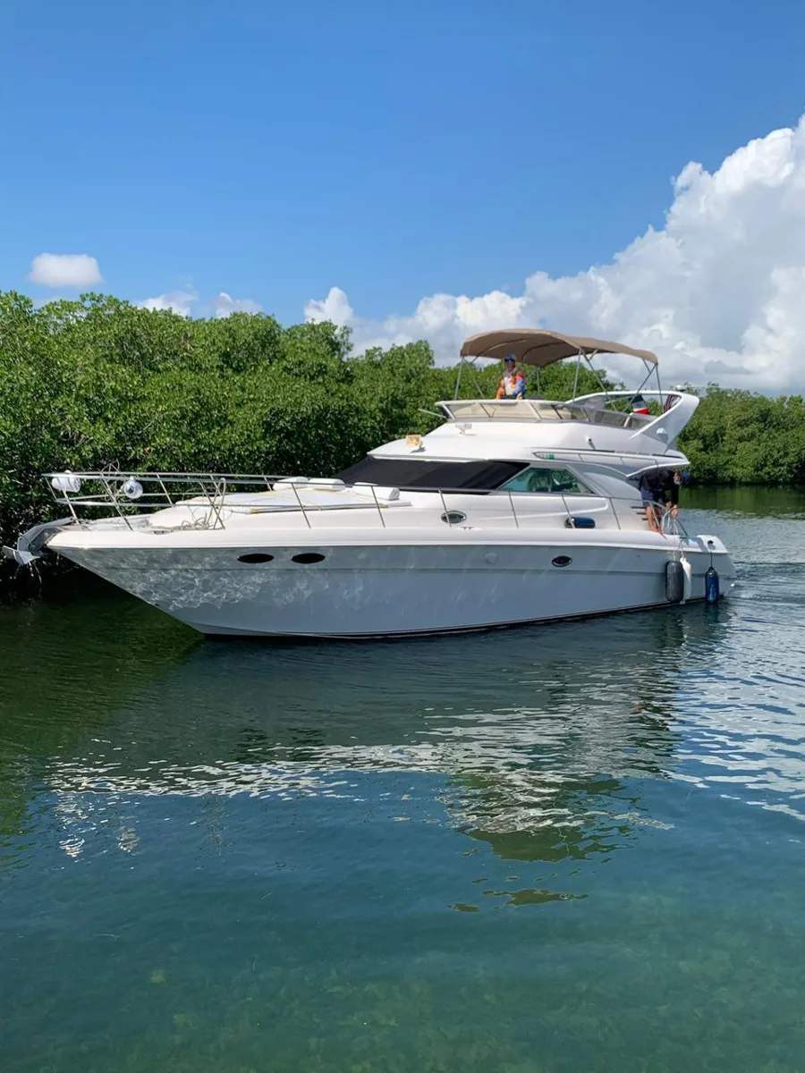Sea Ray 46 Flybridge — photo 3