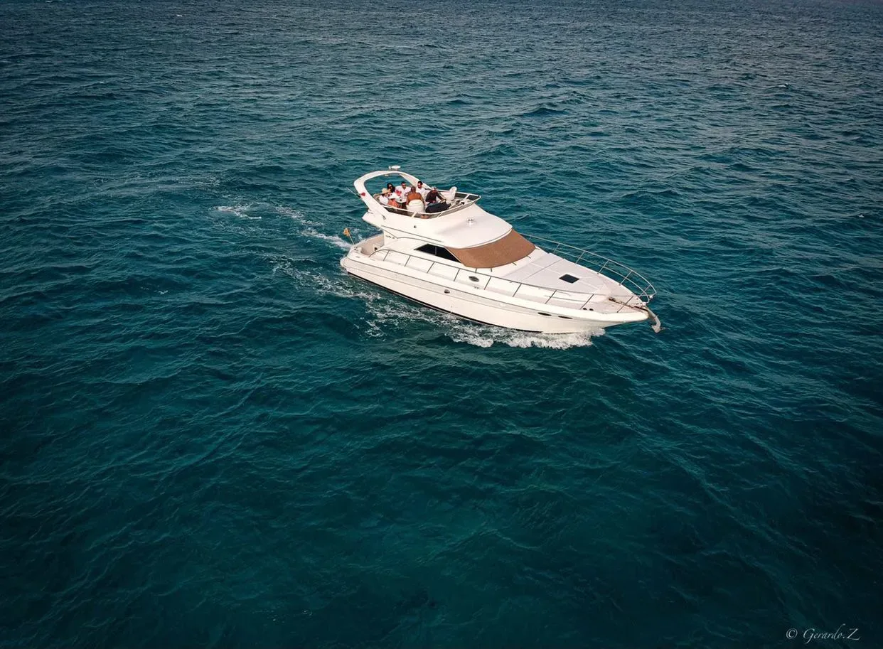 Sea Ray 46 Flybridge — photo 6