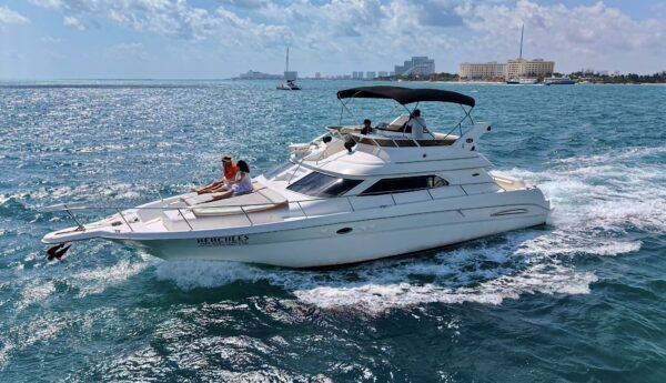 7.SeaRay 46 " - Image 6