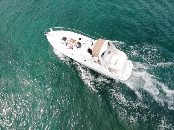 22.SeaRay 35" - Image 7