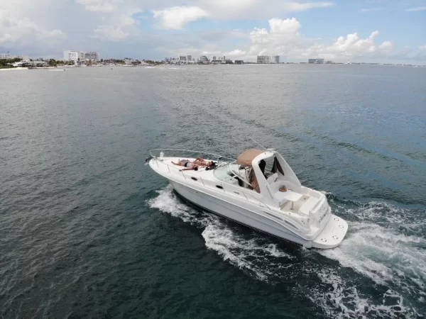 22.SeaRay 35" - Image 8