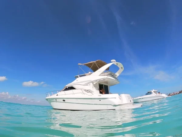 10.Sea Ray 46 " - Image 3