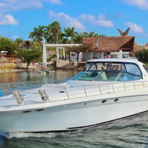 15.SeaRay 60 "