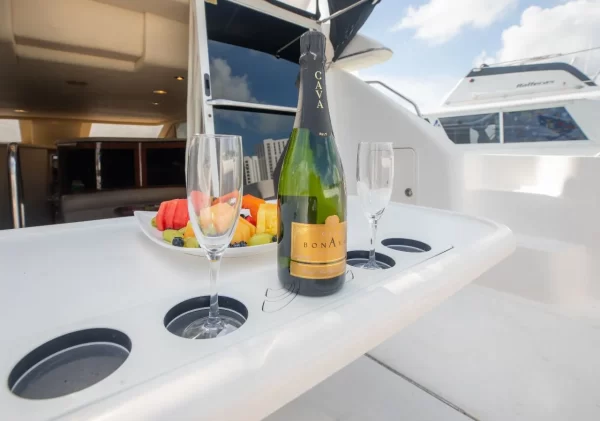 7.SeaRay 46 " - Image 8